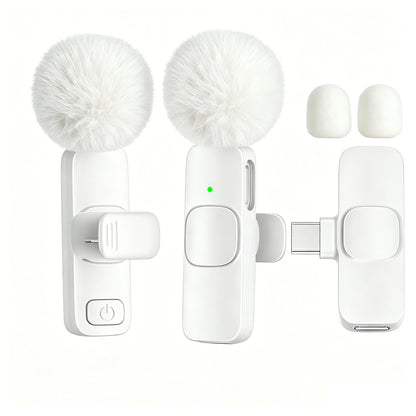 Type-C Port Professional Wireless Lavalier Microphone for Smartphones, Computers, Tablets, Plug and Play